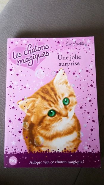 Livre les chatons magiques