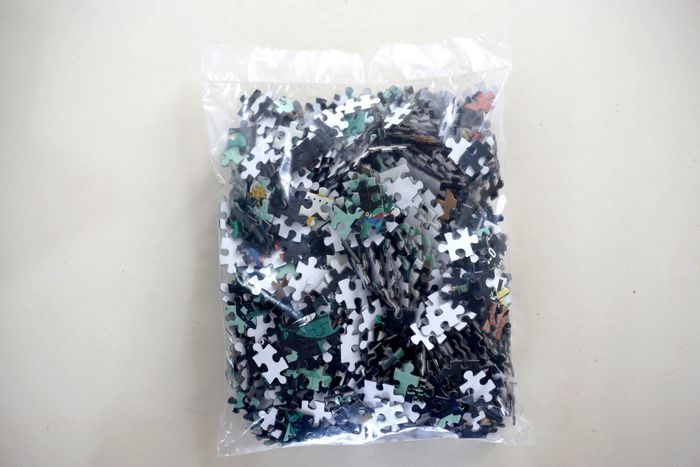 Puzzle 1000 pièces sachet neuf "Your World" Mudpuppy - photo numéro 5