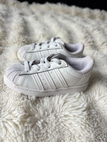 Basket superstar blanche