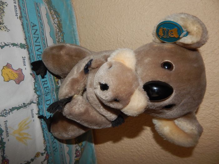 koala + bébé