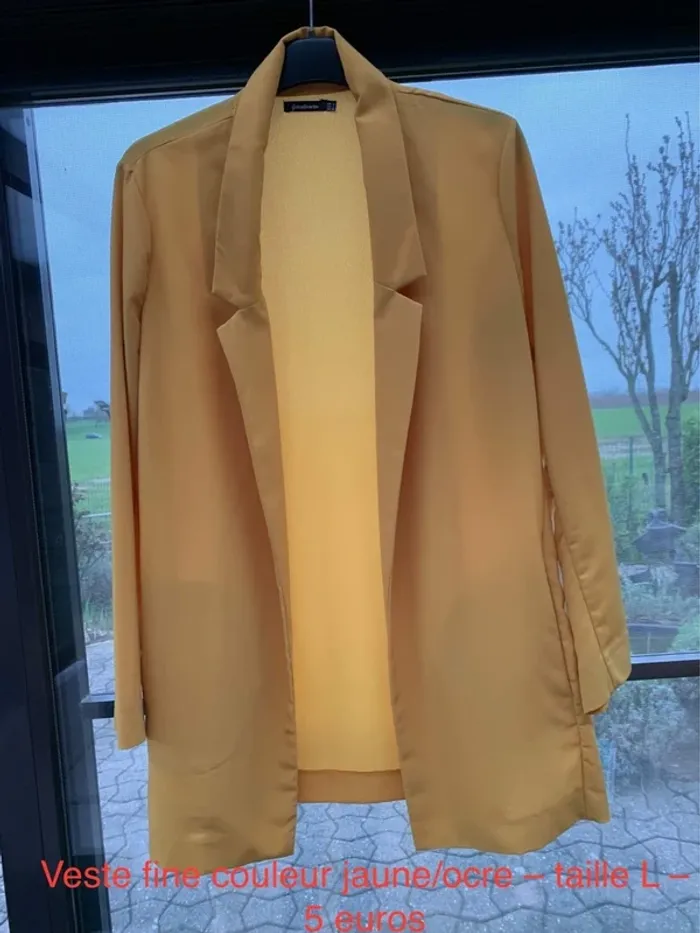 Veste