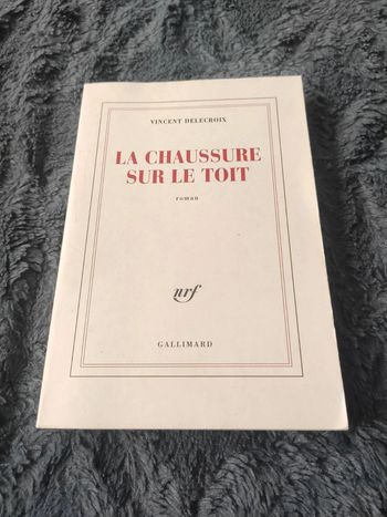 Livre la chaussure sur le toit