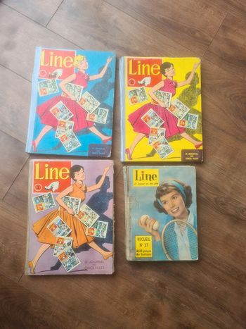 Lot 4 bd line le journal des chics filles