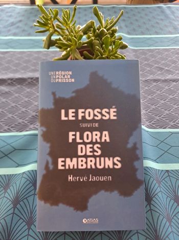 Livre Le Fossé, Hervé Jaouen