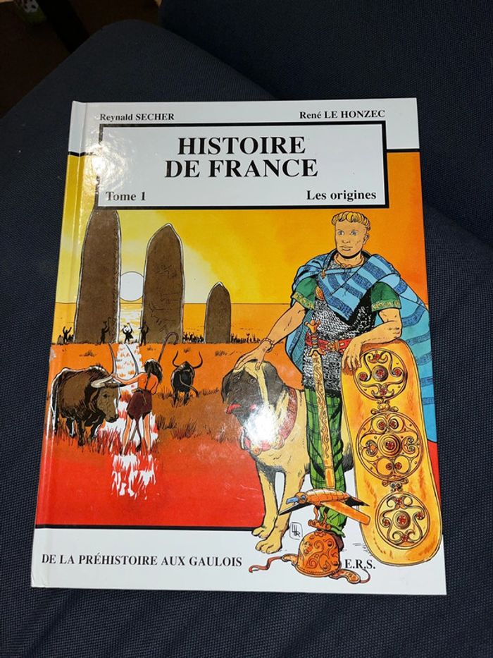 Bande dessinée histoire de France tome 1 les origines