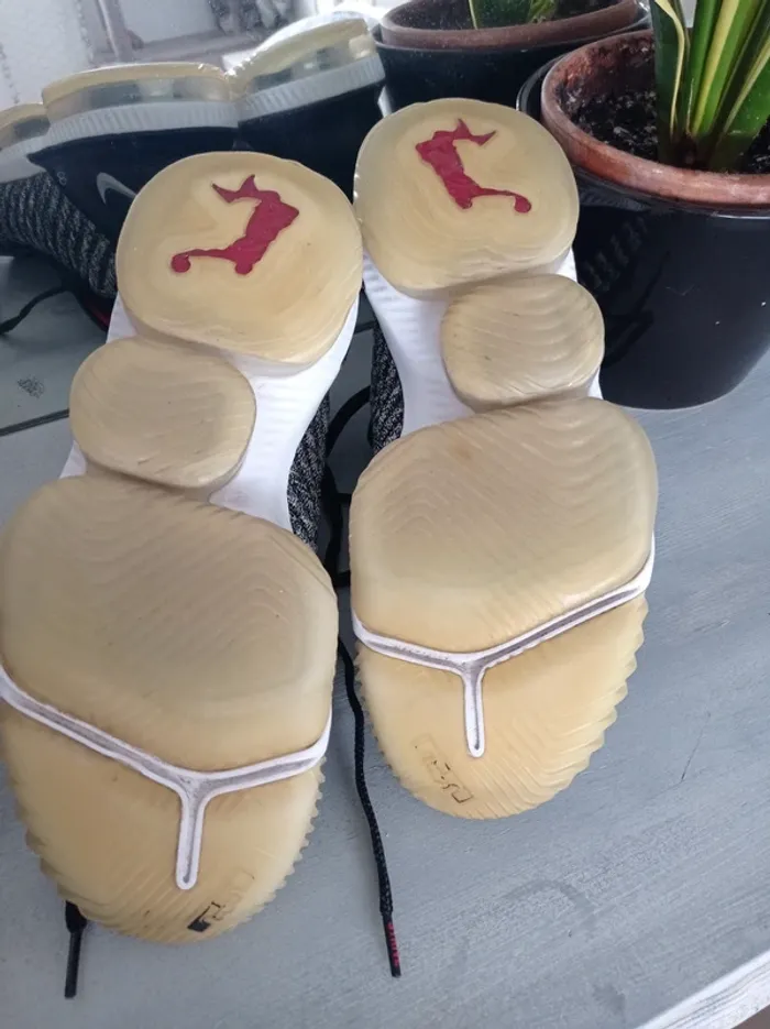 Basket Nike LeBron 43 - photo numéro 13