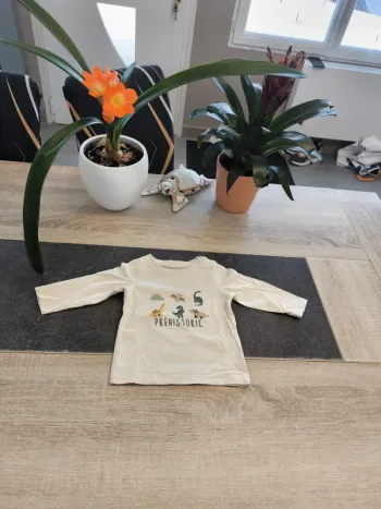 Tee-shirt garçon ml 6 mois Orchestra