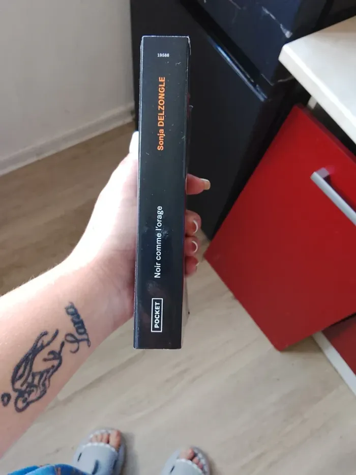 Livre de Sonja delzongle - photo numéro 3