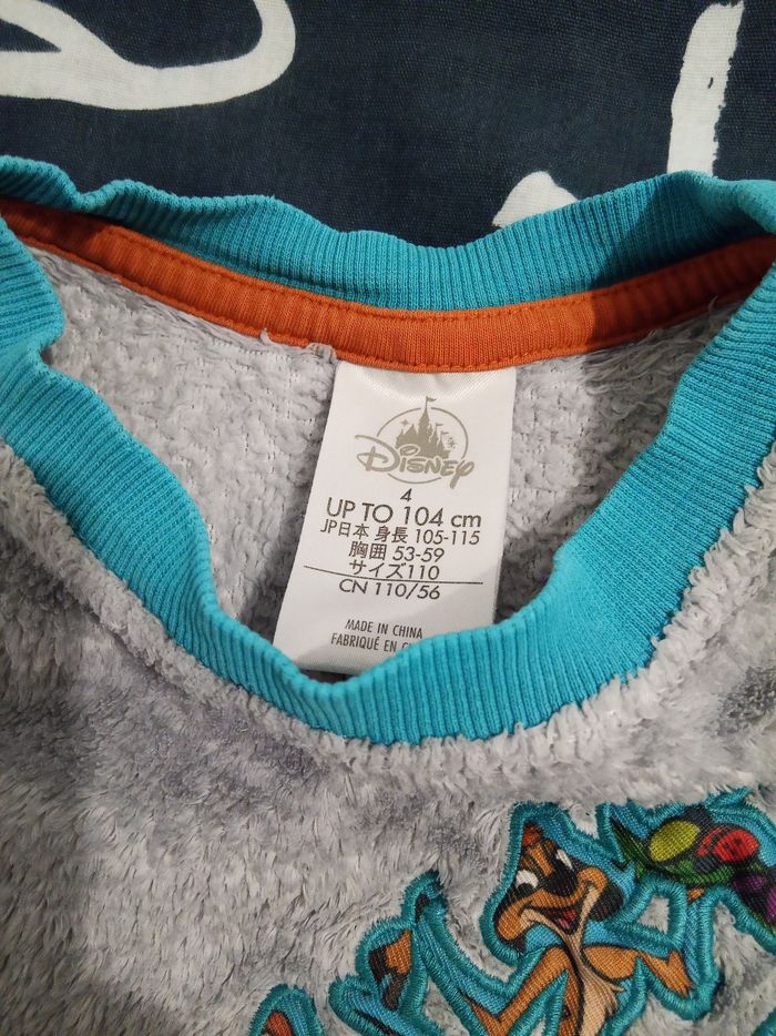 Pull "roi lion" _ 4 ans - photo numéro 4