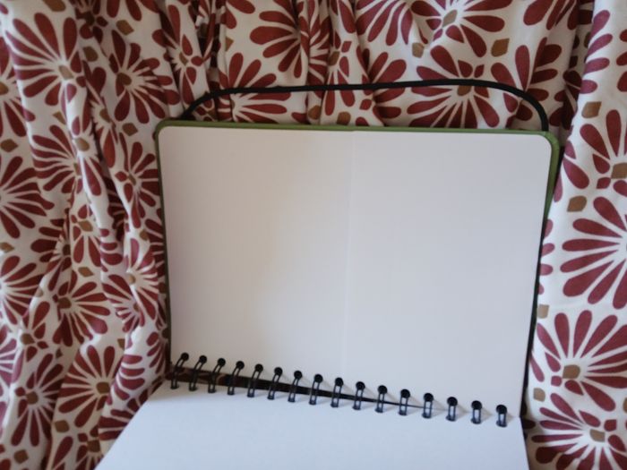 Cahier - photo numéro 6