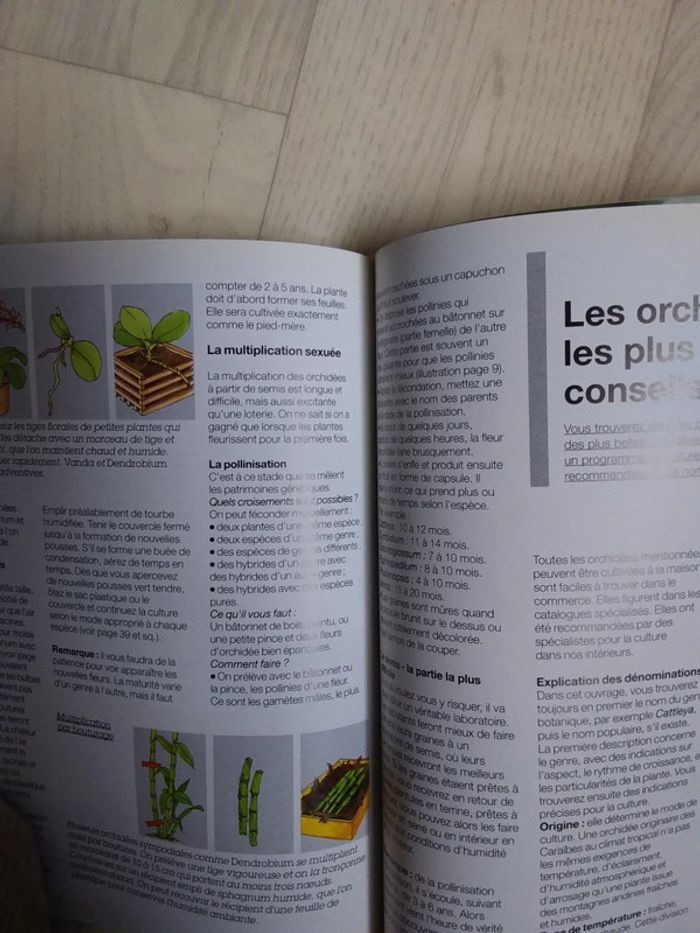 Livre les orchidées - photo numéro 4