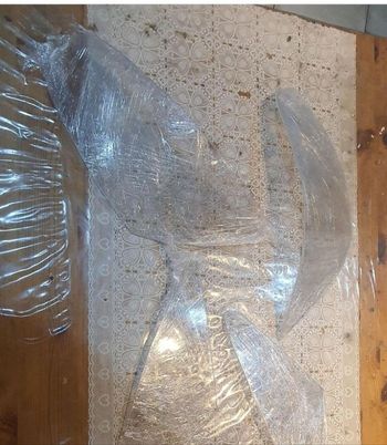 4 Cache feux pour 307 cc (transparent)