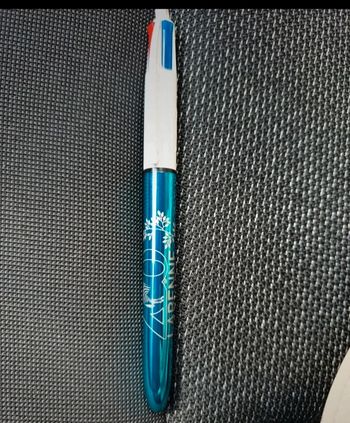 Stylos bic 4 couleurs Zoo Labenne