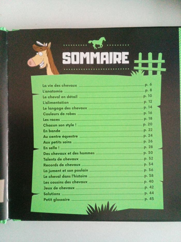 Dis pourquoi ? les chevaux - photo numéro 5