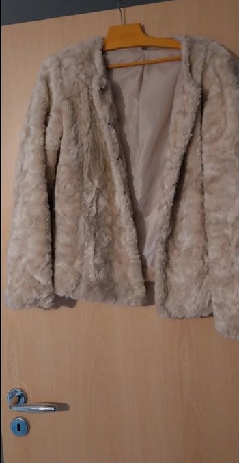 Manteau