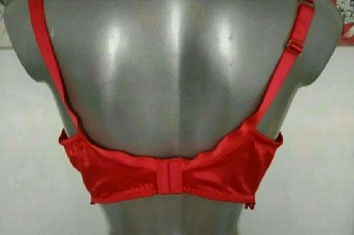 Soutien gorge Rougegorge 95/F - photo numéro 3
