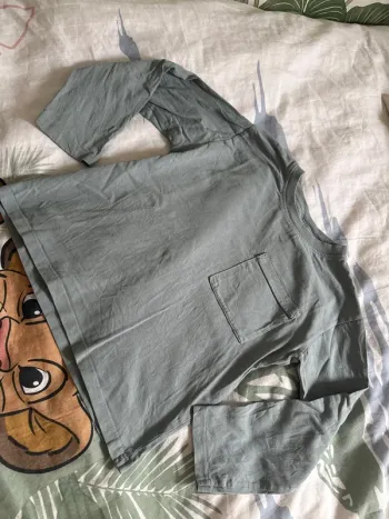 Tee shirt manches longues zara garcon