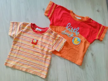 Lot de 2 T-shirt Grain de Blé en 18 mois