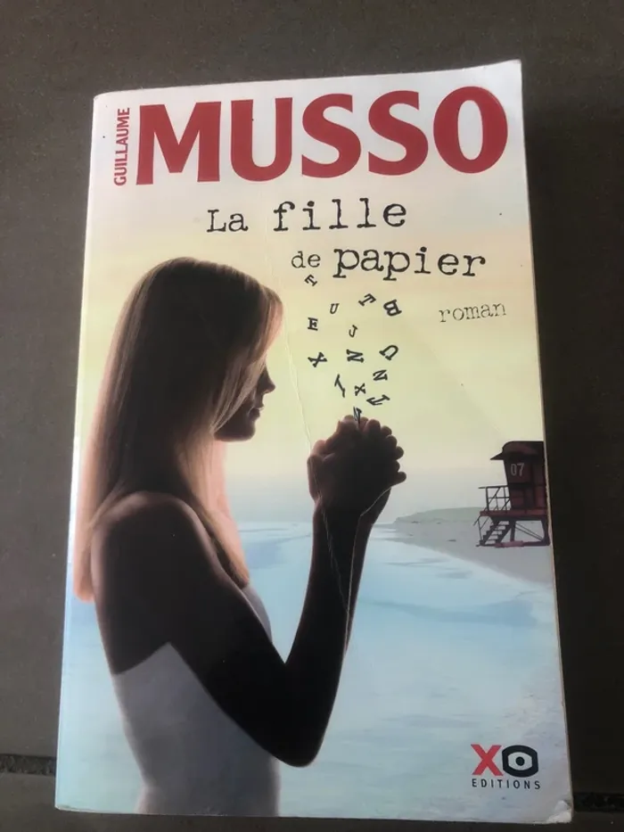 Roman la fille de papier - photo numéro 2