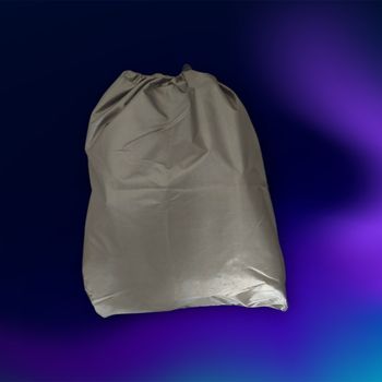 Sac surprise 