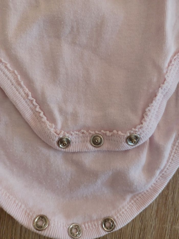 Bodie 6 mois - photo numéro 2