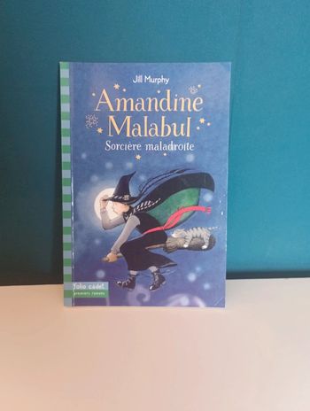 Livre Amandine Malabul : Sorcière maladroite