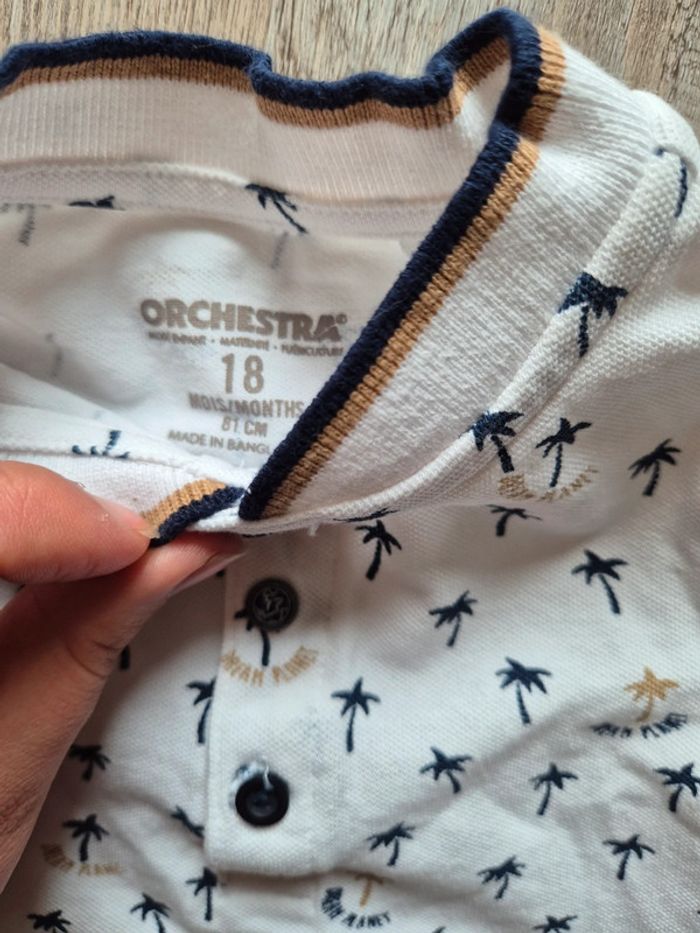 Polo orchestra - photo numéro 2