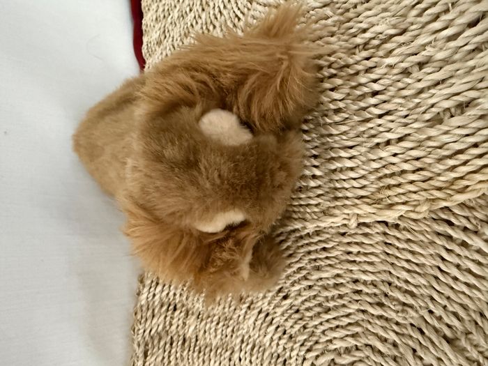 doudou vintage - photo numéro 1