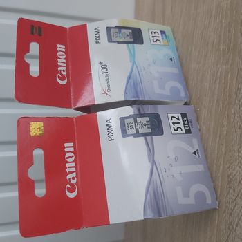 Lot de 2 cartouches d'encre Canon d'origine PG 512 + CL 513 - Noire + Colore -