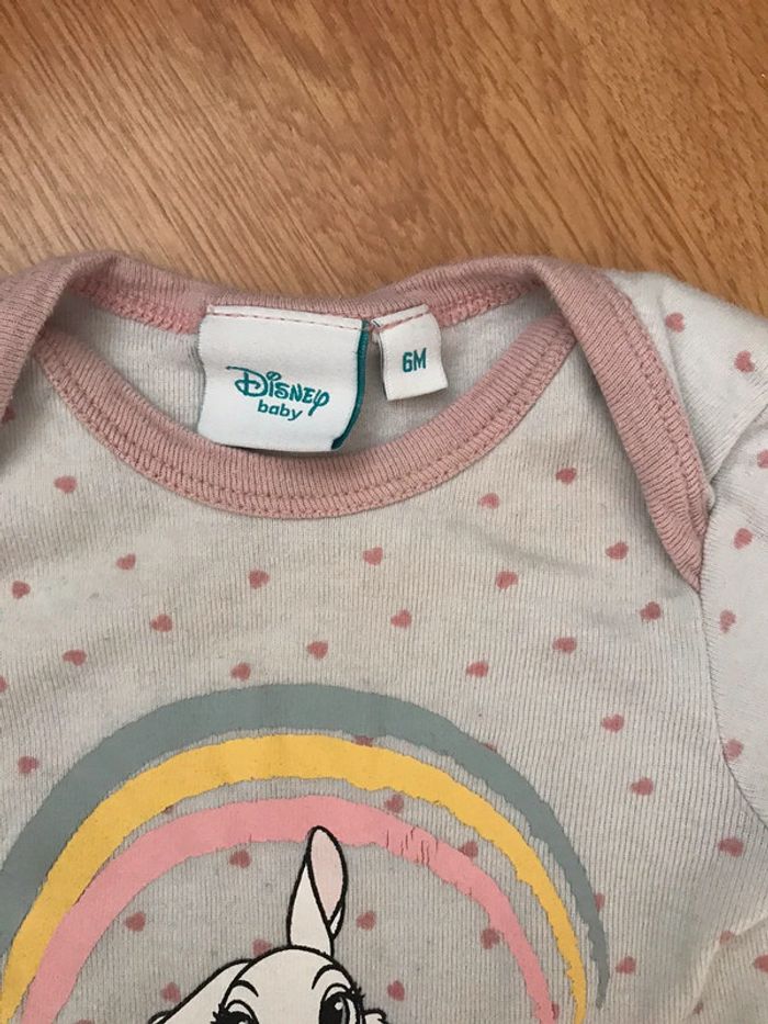 Bodie Disney 6 mois - photo numéro 3