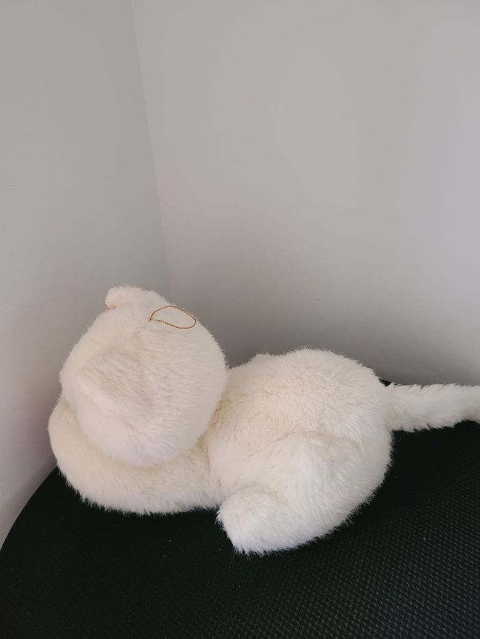 doudou chat - photo numéro 2