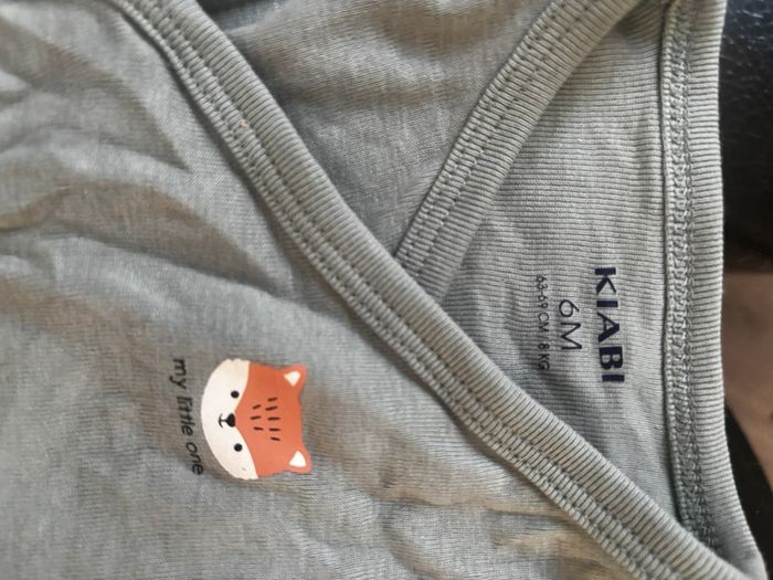 Body renard - photo numéro 2