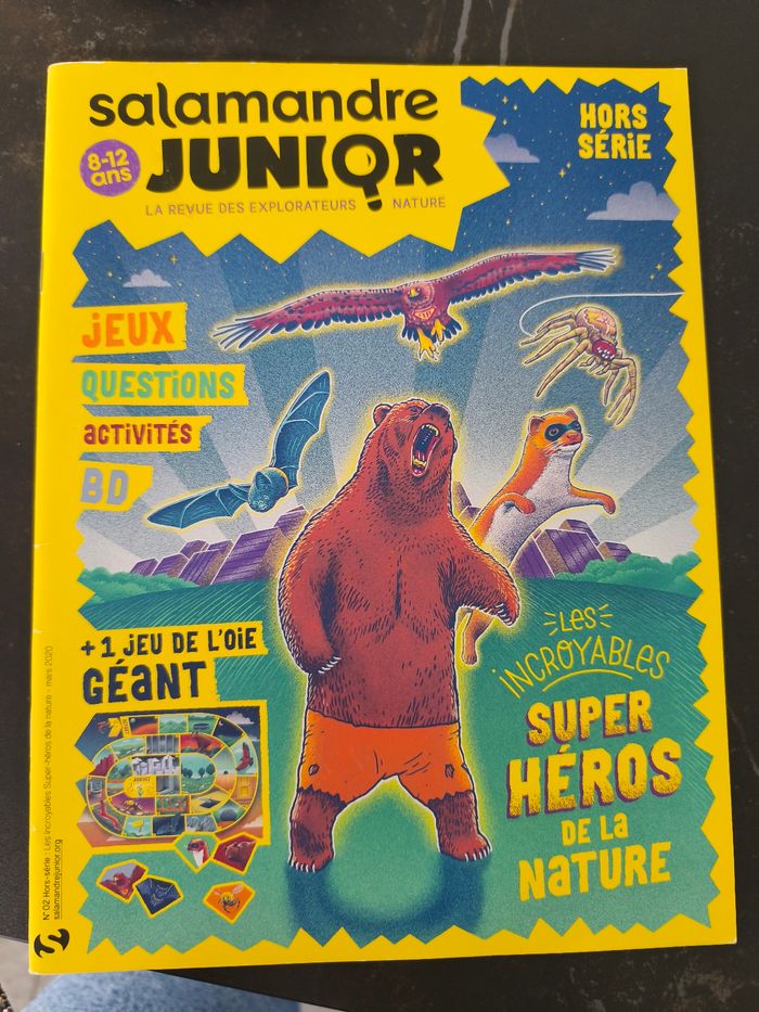 Salamandre junior - photo numéro 5