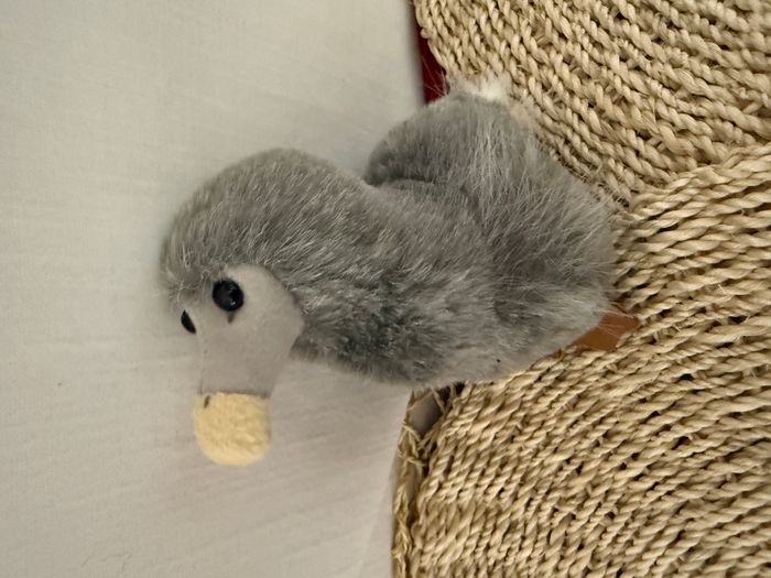 Peluche Oiseau Dodo gris Île Maurice Mauritius neuf Wally Plush Toys