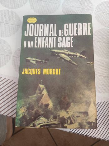 Journal de guerre d'un enfant sage