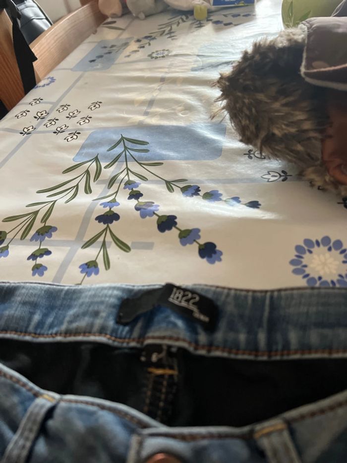 Jean bleu - photo numéro 2