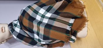 Etole marron en Courtelle - TB état