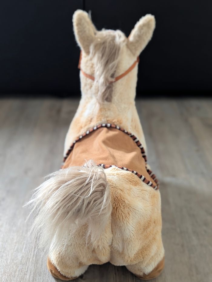 Saut a cheval 🐴 - photo numéro 3