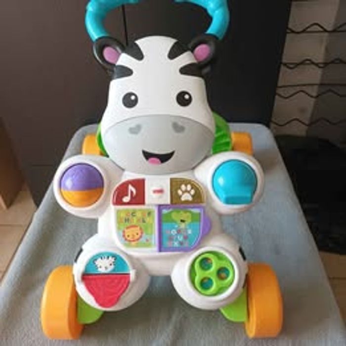 Zèbre trotteur