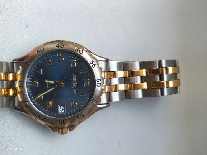 montre pierre lannier