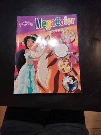Livre Disney princess
