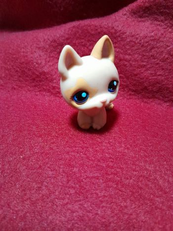 Figurine Petshop A13. A