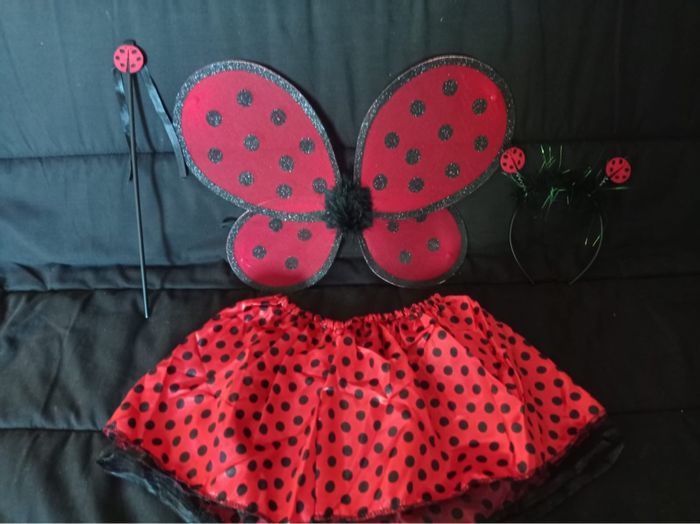 Déguisement coccinelle papillon 3-6ans