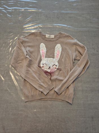 Pull lapin