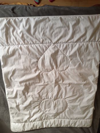 Couette Hypoallergénique 150x120cm