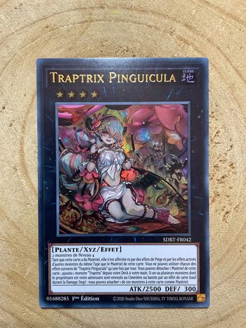 Carte Yu-Gi-Oh! : TrapTrix Pinguicula - SDBT-FR042