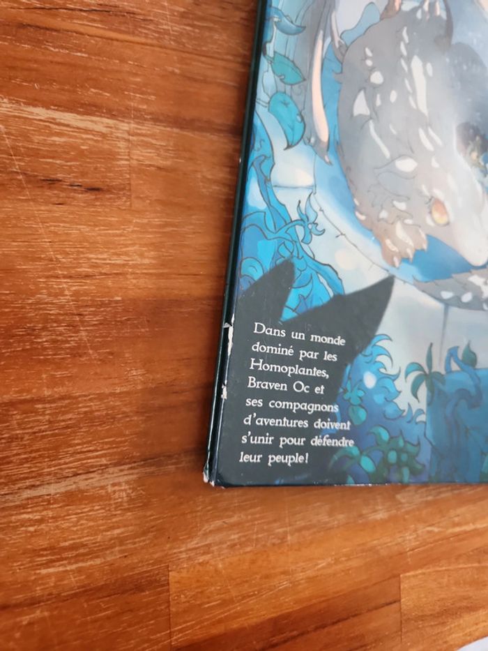 Bande dessinée : Les chroniques de Braven Oc - photo numéro 10
