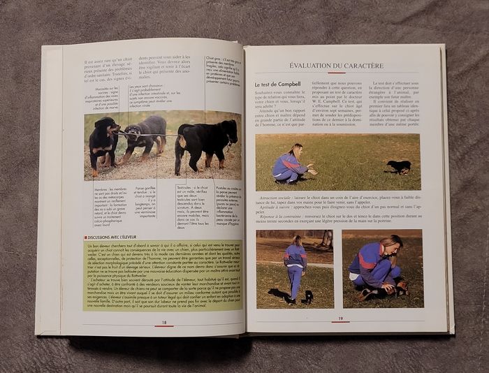 Le Rottweiler Filippo Cattaneo - photo numéro 2