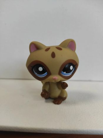 My littlest petshop raton laveur 1682