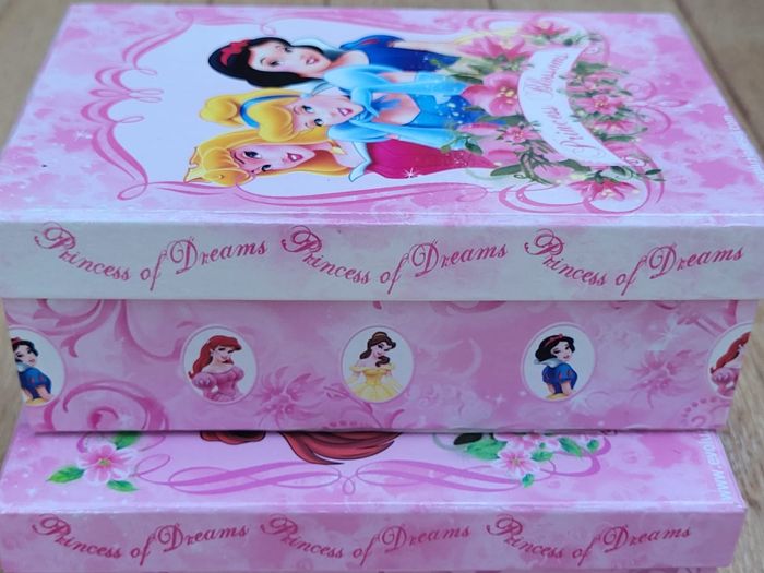 Lot boites de rangement Princesses Disney - photo numéro 8